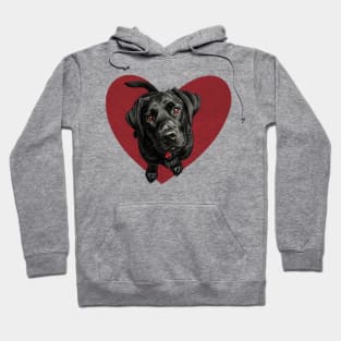 Black Lab is My Valentine Hoodie